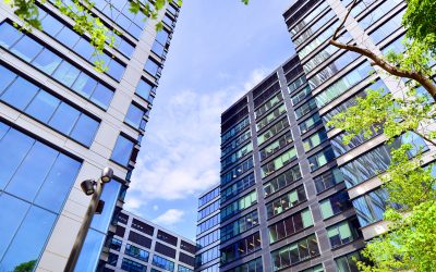 What Is the E in ESG and Why Does It Matter?
