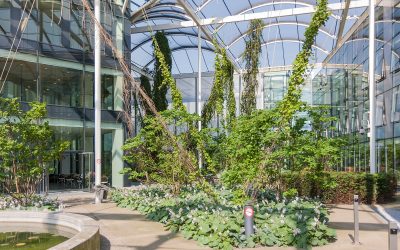 Benefits of Biophilic Design